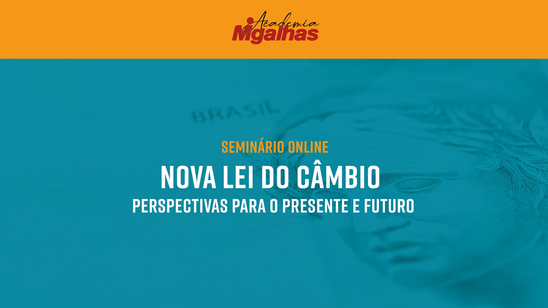 Nova Lei do Câmbio - Perspectivas para o presente e futuro