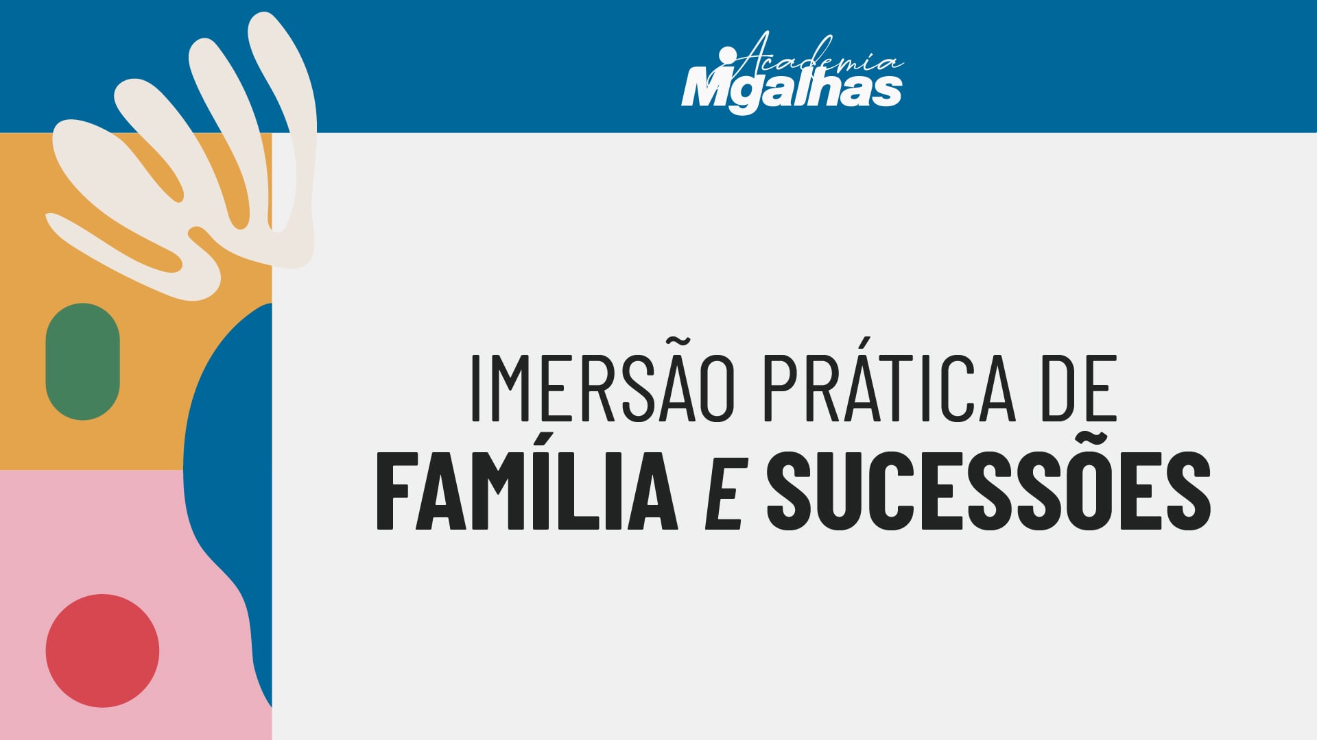 Imersão Prática de Família e Sucessões