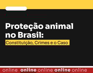 Proteção animal no Brasil: Constituição, Crimes e o Caso Orelha